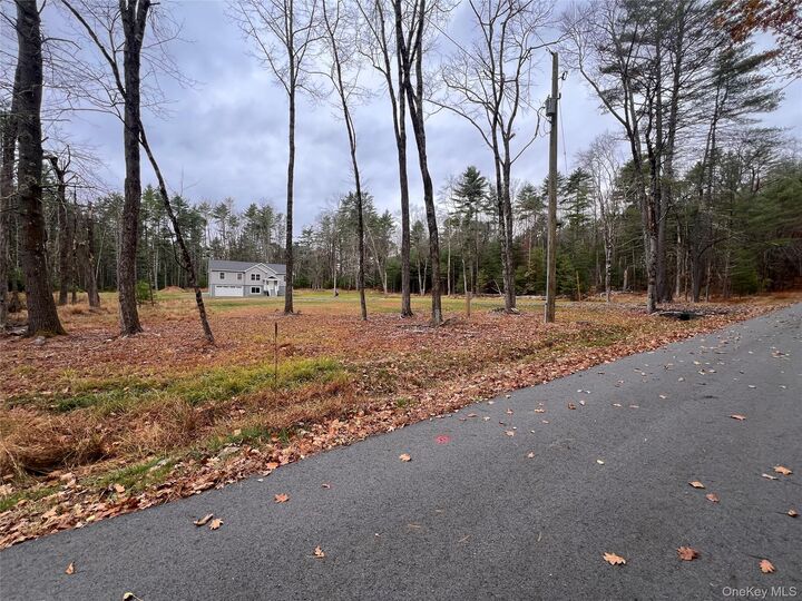 Property Photo:  26 Summit Drive  NY 12719 