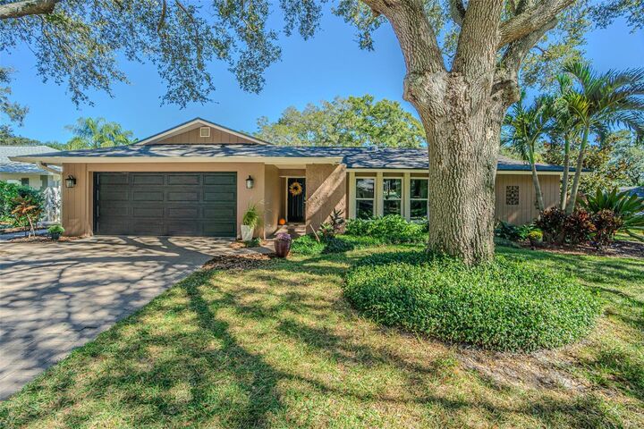 936 Highview Drive  Palm Harbor FL 34683 photo