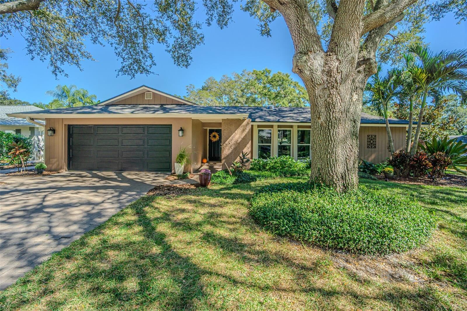 Property Photo:  936 Highview Drive  FL 34683