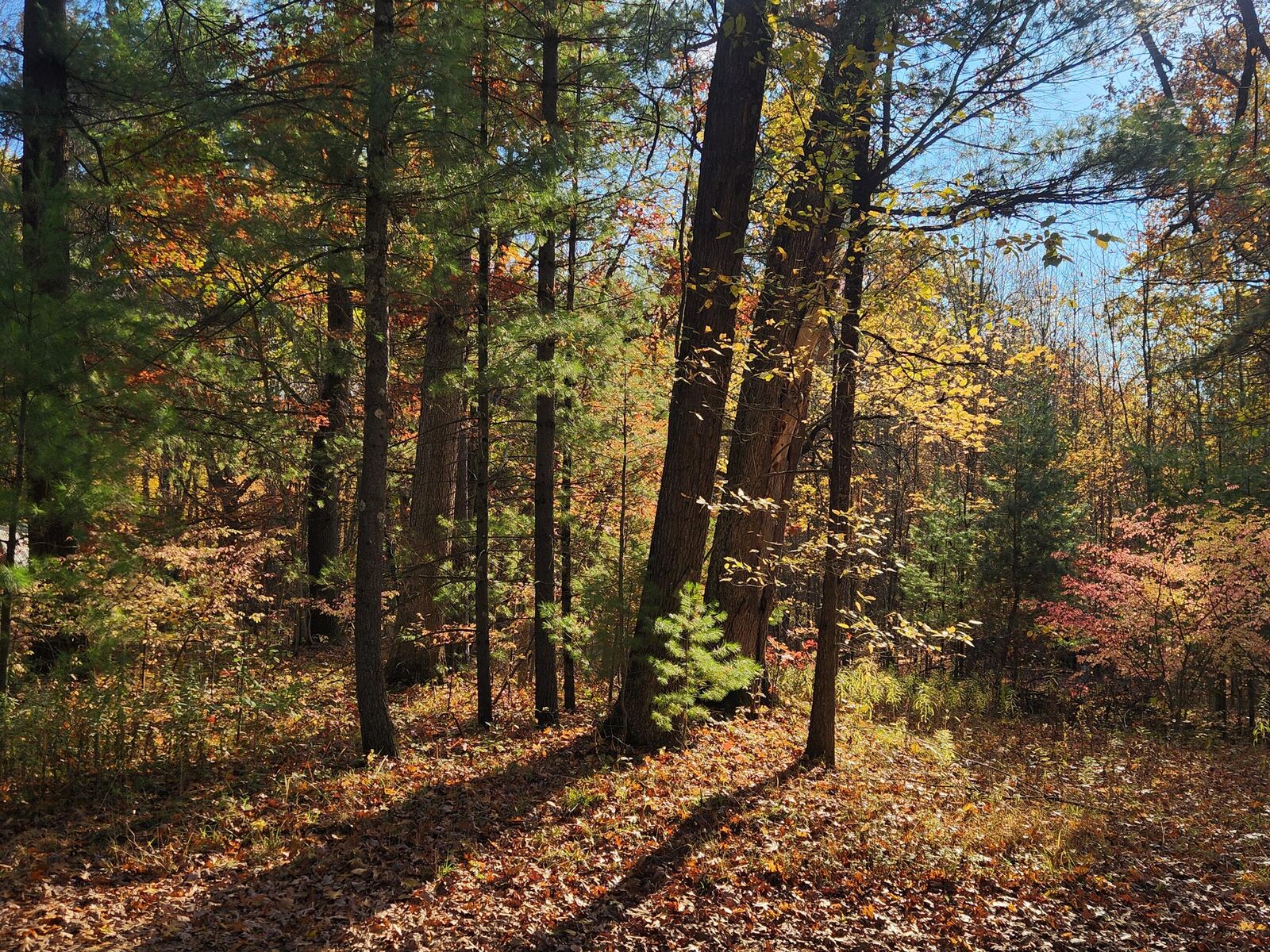 Property Photo:  Crocker Road  MI 49425 