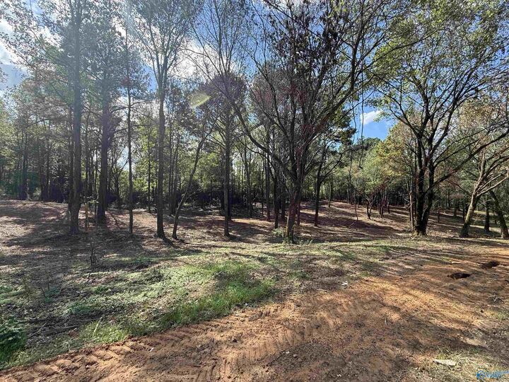 Property Photo:  #1A County Road 1123  AL 35179