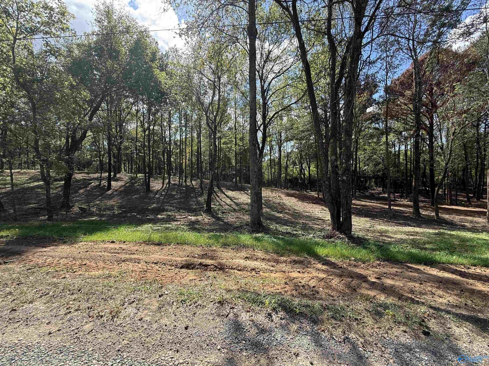 Property Photo:  #12A County Road 1123  AL 35179