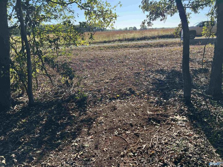 Property Photo:  12081 Pecan Grove Way  AL 35613