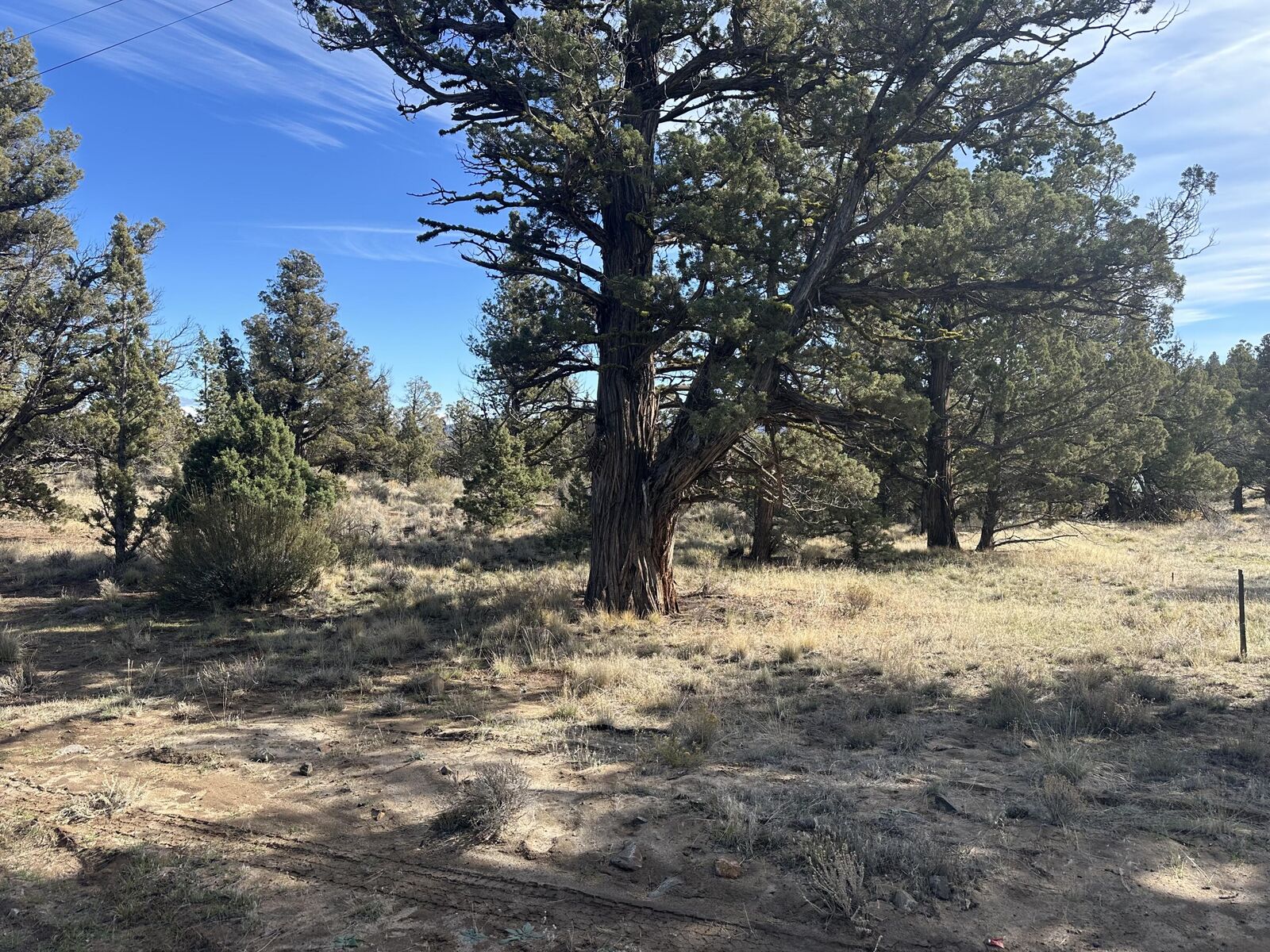 Property Photo:  SE Renegade Loop Lot 2  OR 97754 