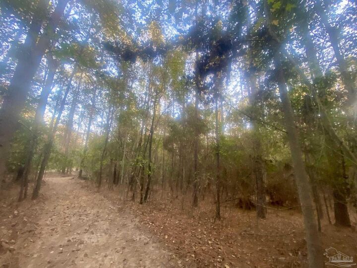 8 Acres Hwy 4  Jay FL 32565 photo