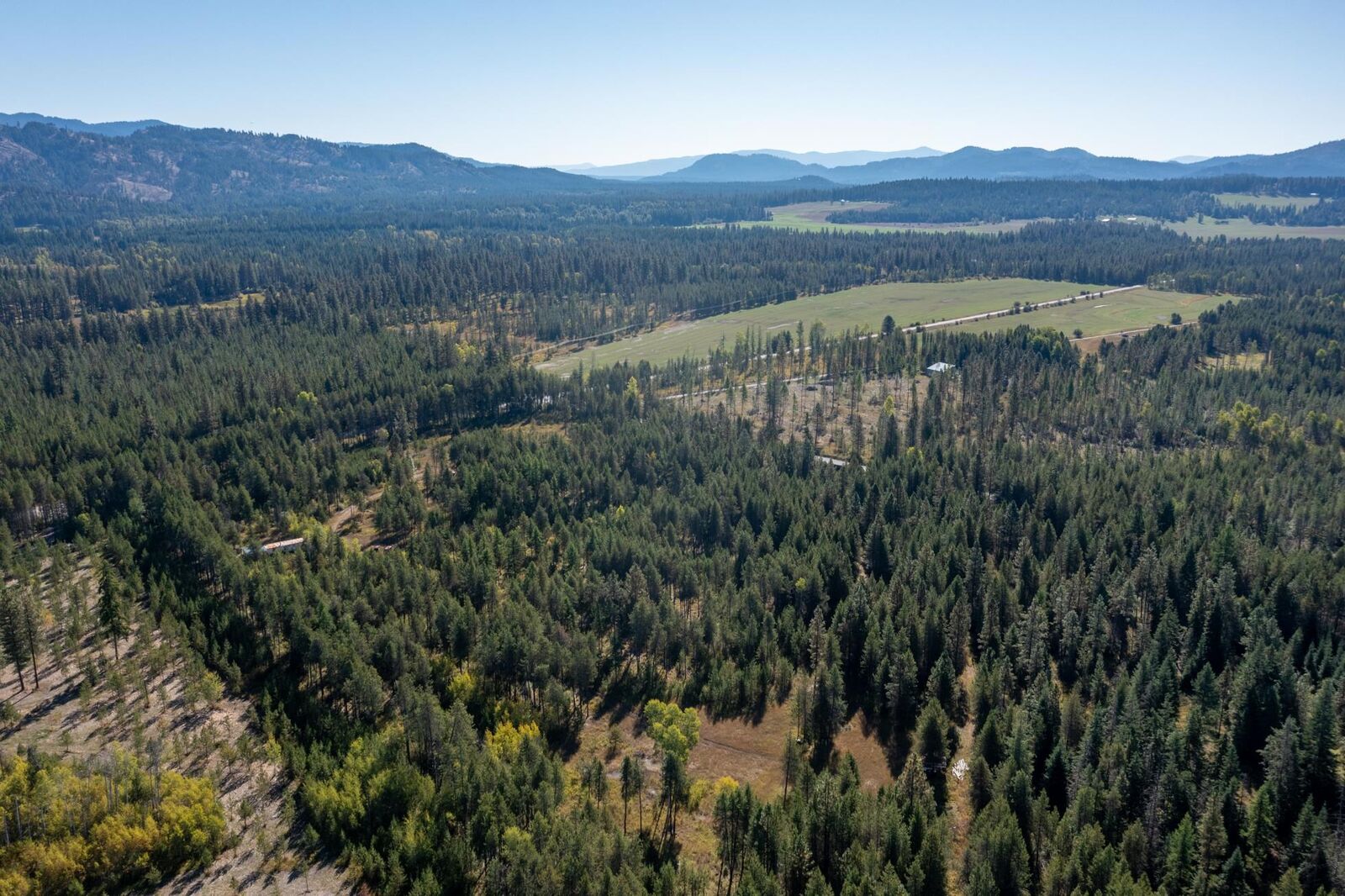 Property Photo:  54 Lenora Dr  WA 99180