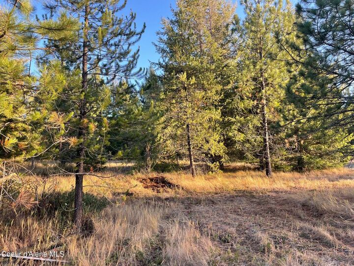 Property Photo:  Nka Hope Valley Rd 5 Acres  ID 83858