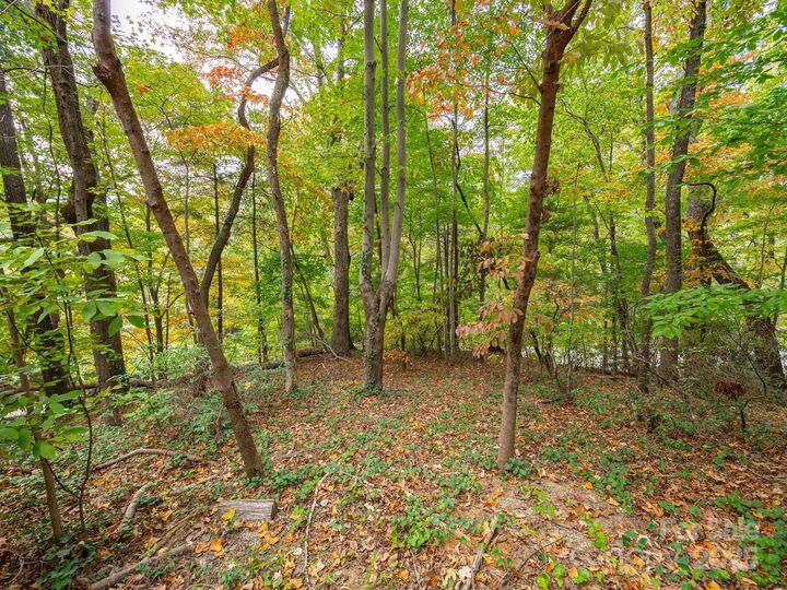 Property Photo:  00 Fox Trot Lane  NC 28782 