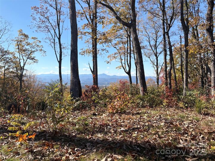 Property Photo:  Lot 64 Feather Stone Drive  NC 28732