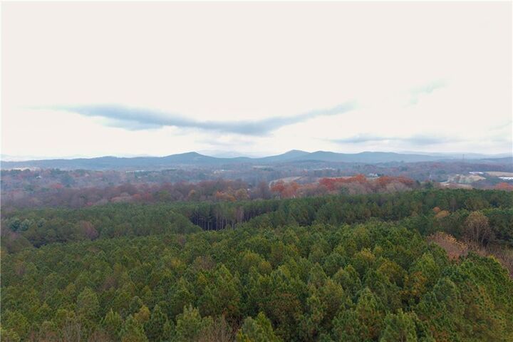 Property Photo:  0 Foxpaw Leaf Lane  GA 30536 