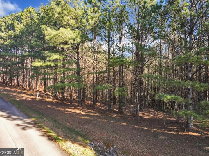 Property Photo:  0 Foxpaw Leaf Lane 38  GA 30536 