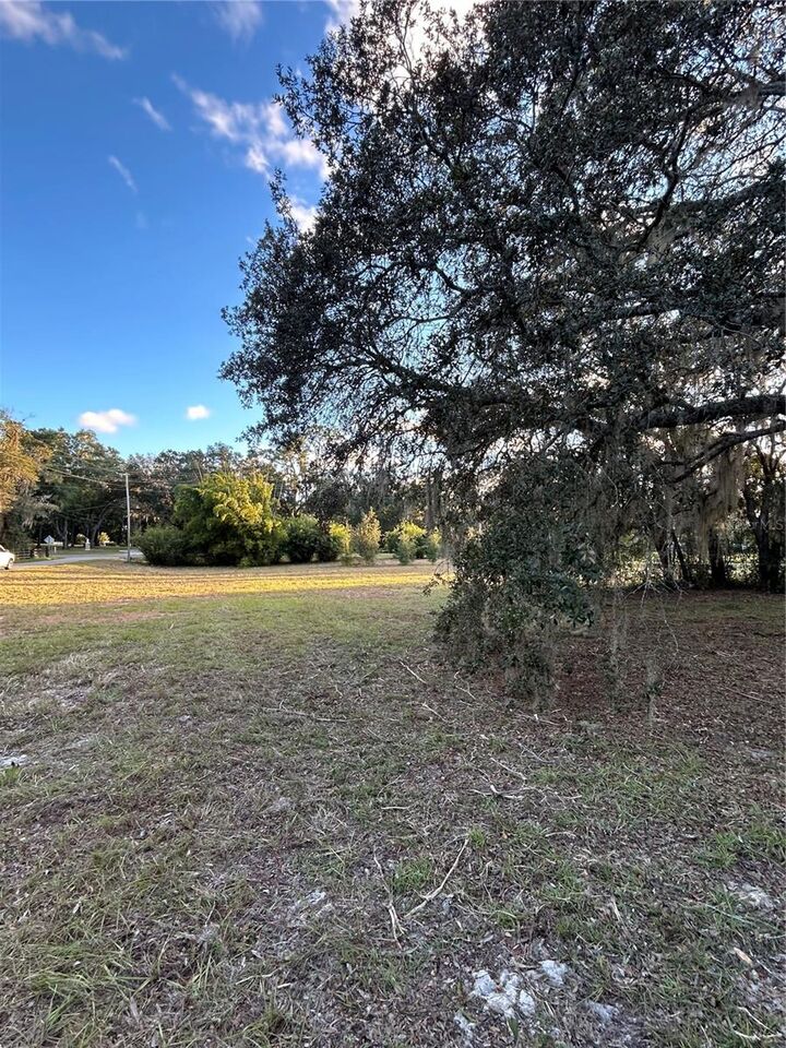 Property Photo:  000 Fifth Street  FL 32159 