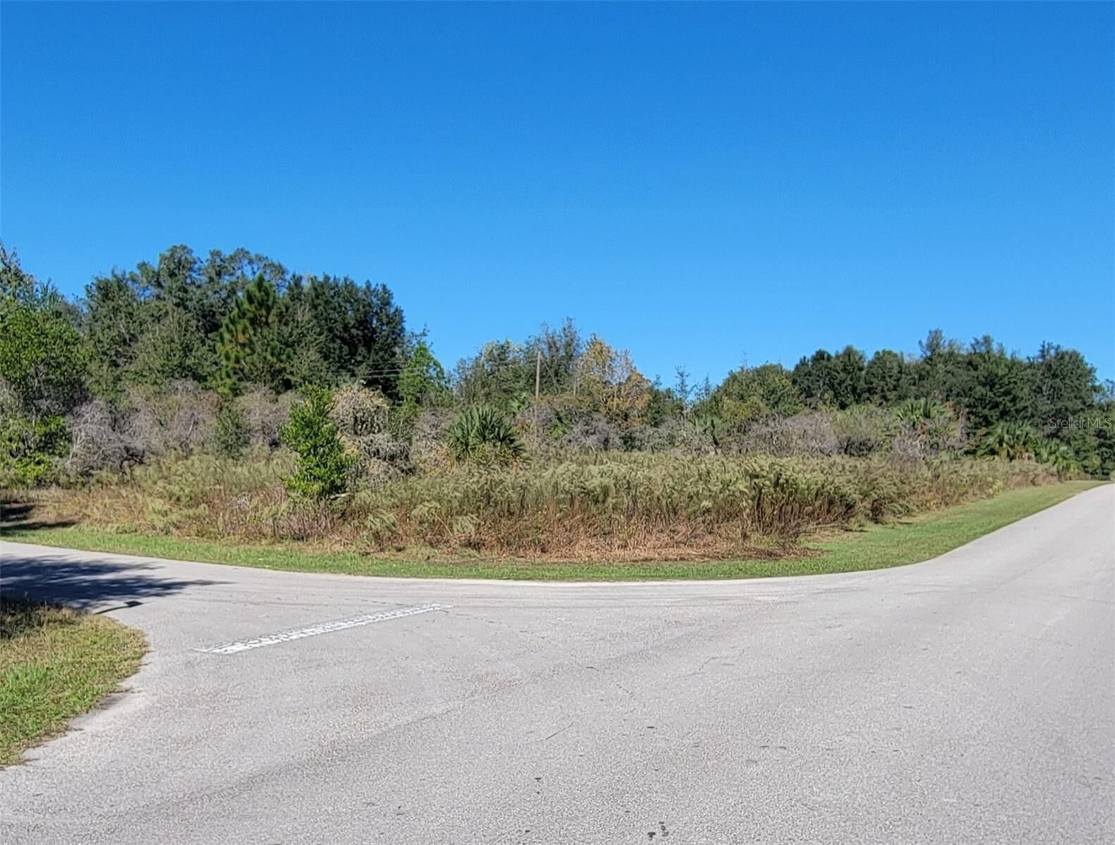 Property Photo:  0 SW 82nd Place  FL 34431 