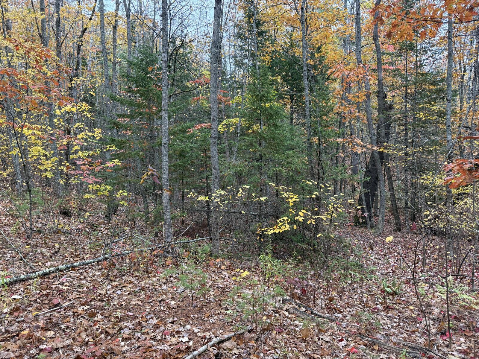 Property Photo: 41 Stream Road ME 04496