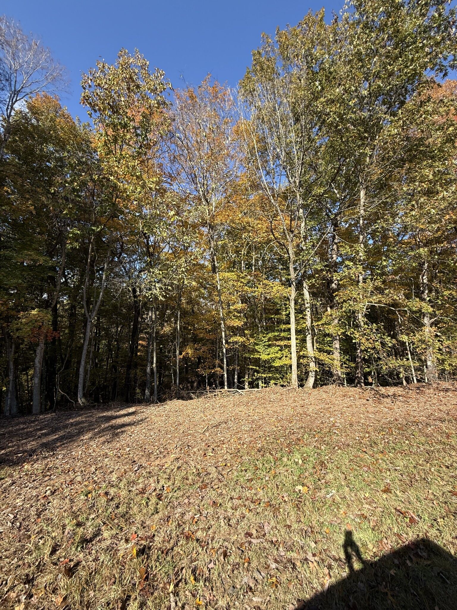 Property Photo:  0 Collins Road  TN 38541 