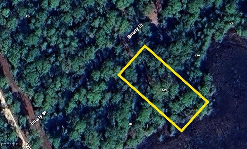 Property Photo:  105 Brierly Street  FL 32139 