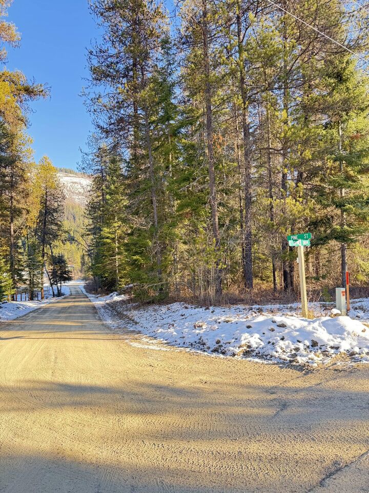 Property Photo:  311 Joyner Dr E  WA 99119