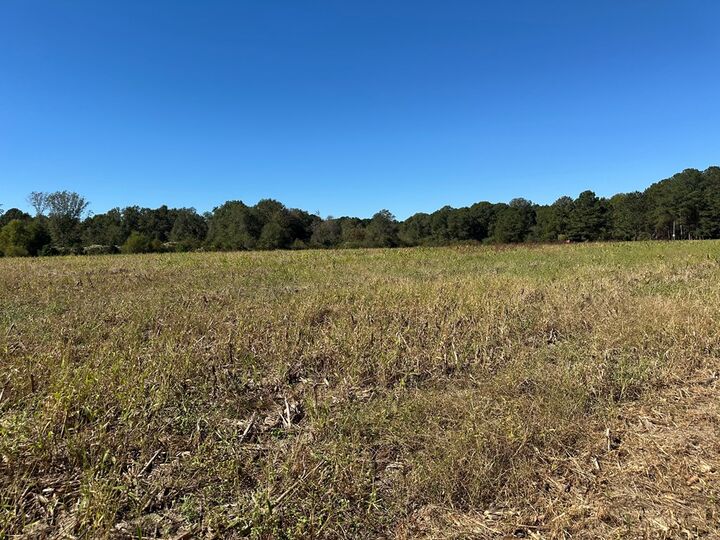 Property Photo: 0 Pt Salter Road GA 31781