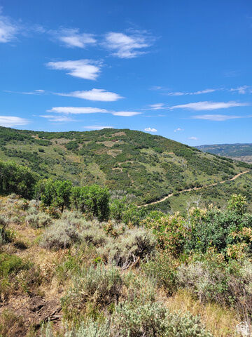 Unknown  Echo UT 84024 photo