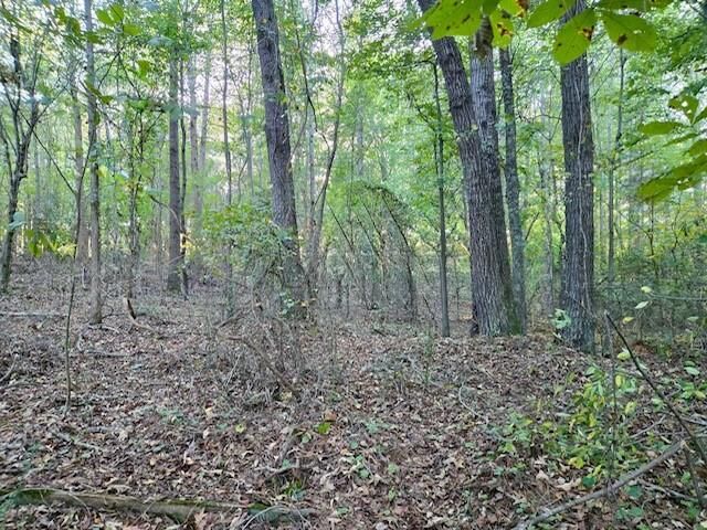 Property Photo:  0 Hurt Bridge Road  GA 30028 