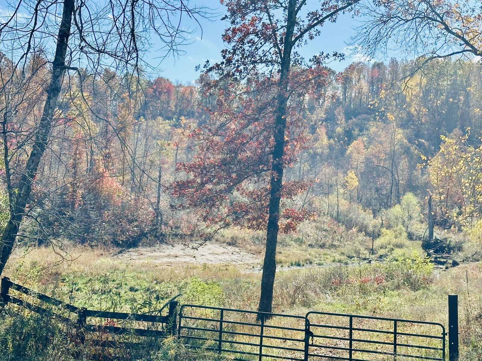 Property Photo:  279 Jaw Road  KY 40729 