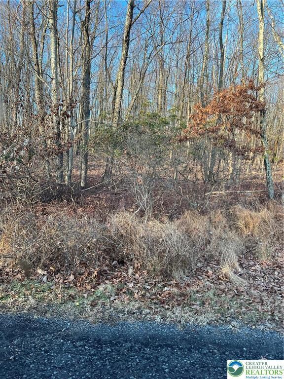 Property Photo:  169 Yellow Run Road  PA 18229 