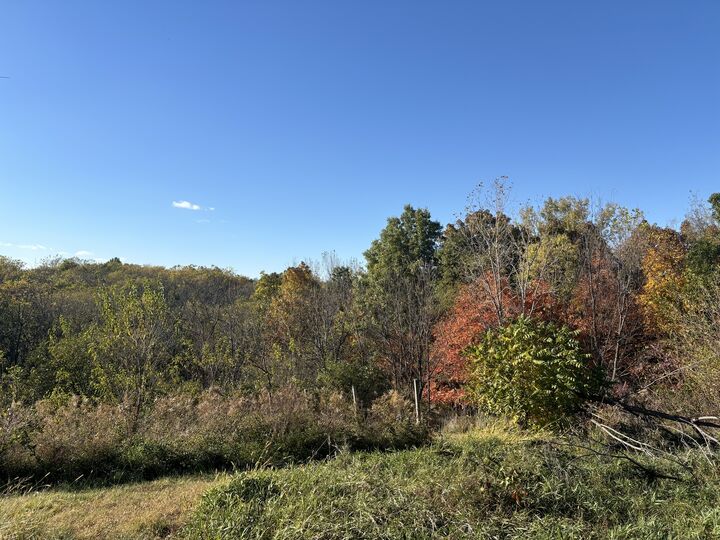 Property Photo: 2110 60th Street IL 61462