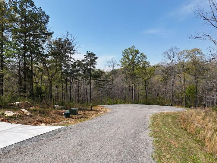 Property Photo: 129 Red Hawk Lane GA 30540