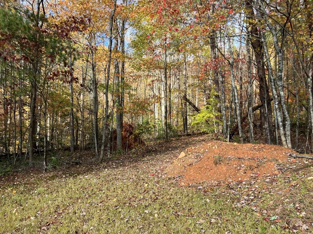 Property Photo:  39 Acres Hedden Stiles Road  NC 28906