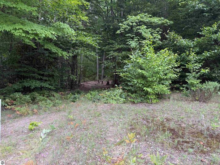 Property Photo:  00000 S Bridle Trail  MI 49630