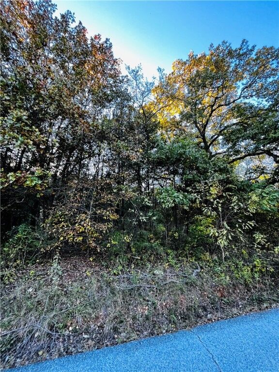 Eagle Drive 6  Holiday Island AR 72631 photo