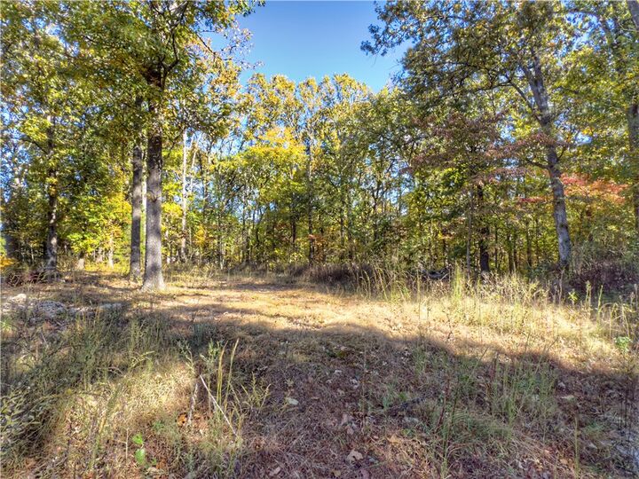 Property Photo:  Lot 10 Dogwood Court  AR 72601 