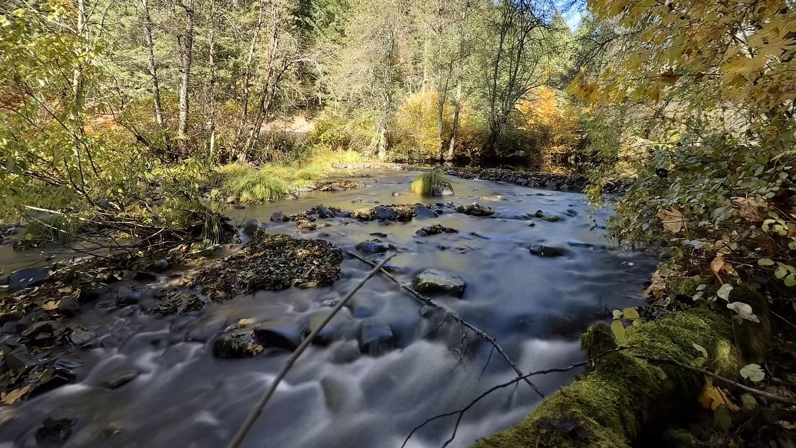 Property Photo:  52 Dodes Creek Road  OR 97541 