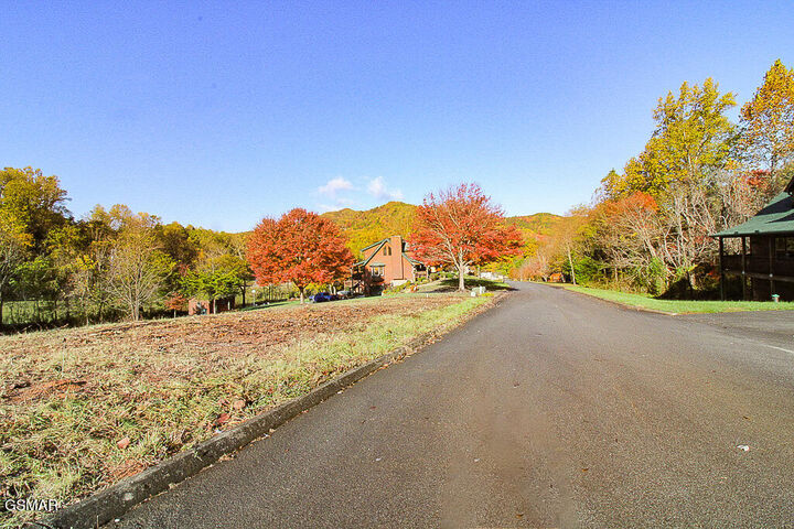 Property Photo:  Lot 8 Thomas Headrick Road  TN 37862 