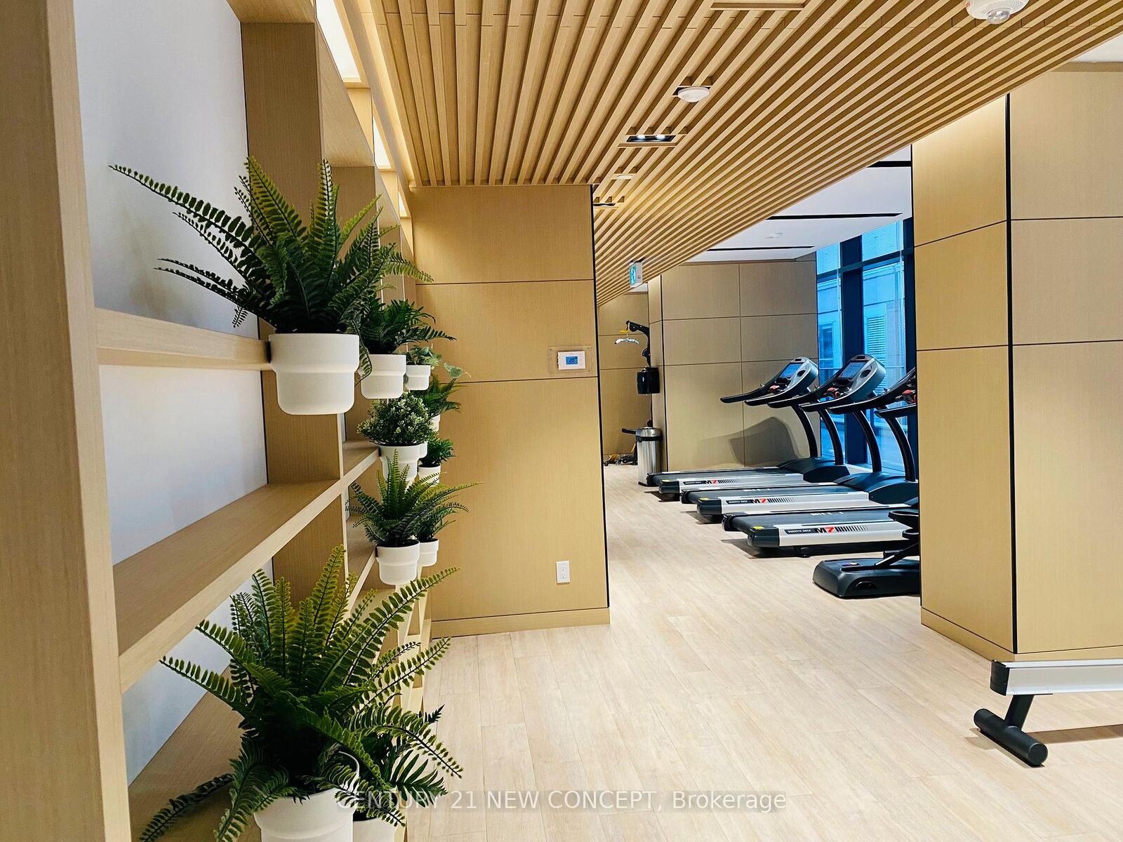 Property Photo:  38 Widmer Street 2810  ON M5V 2E7