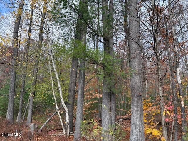 Property Photo:  954A Route 9N  NY 12912 