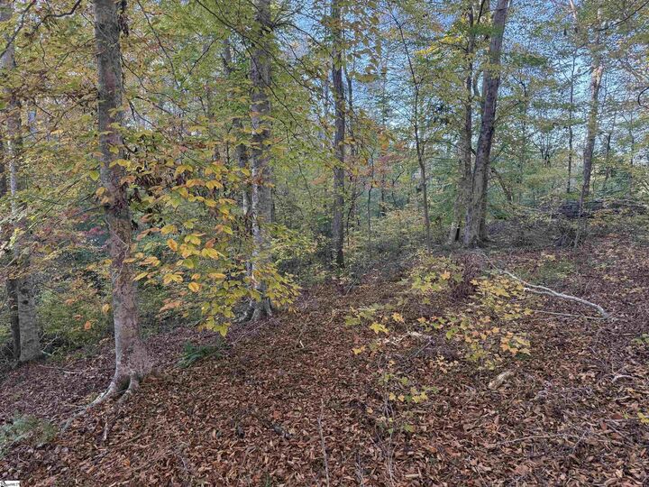 Property Photo: 247 Stallion Drive SC 29654