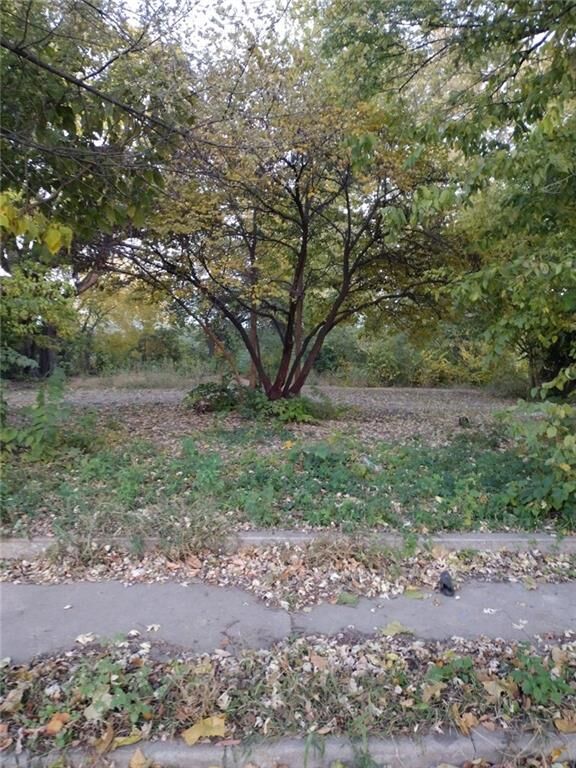 Property Photo: 737 N Montgall Avenue MO 64120