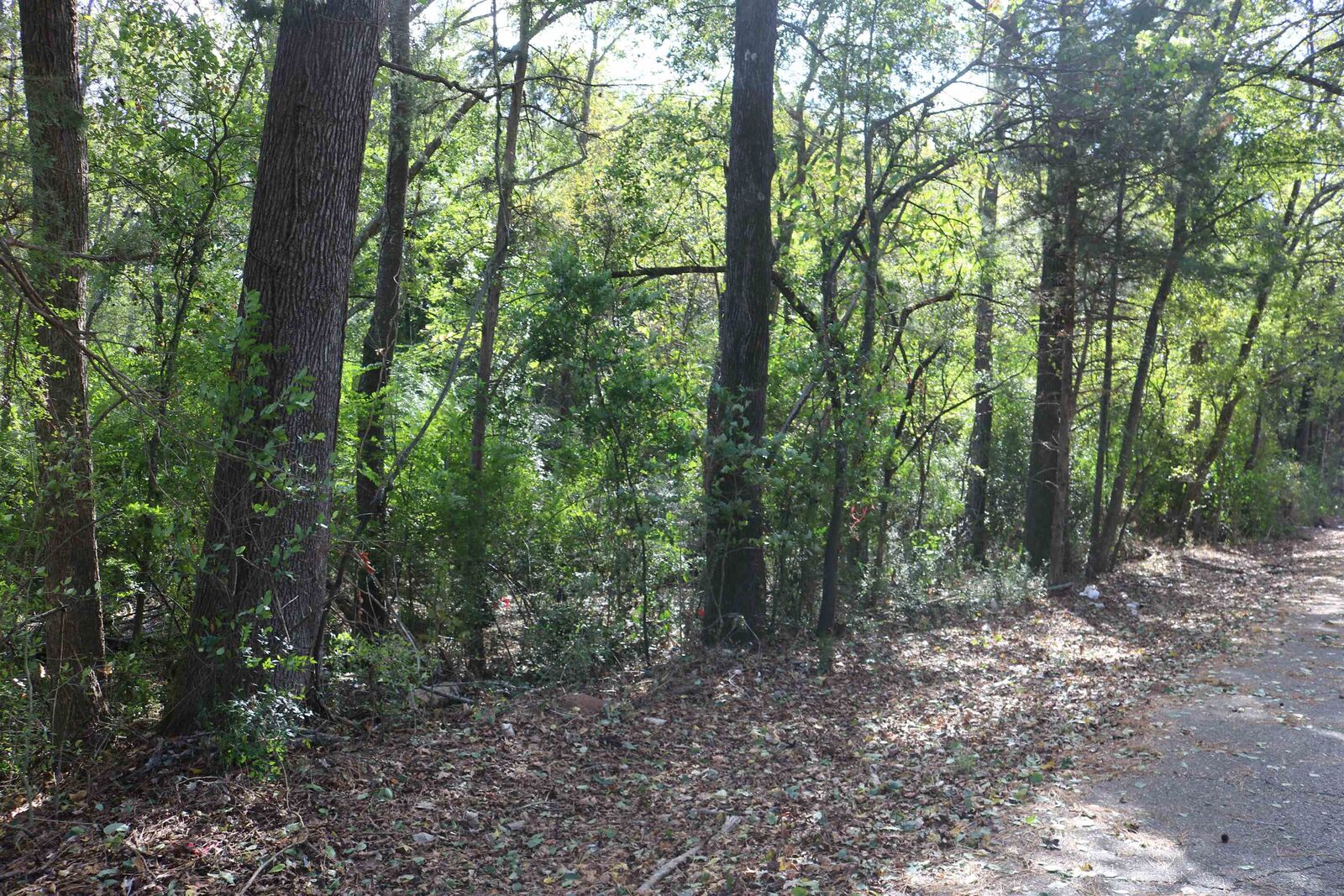 Property Photo:  Tbd N Cass Street  TX 75657 