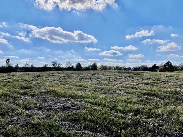 Property Photo:  Tbd Cr 121  TX 75643 