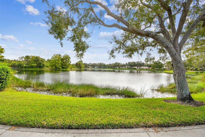 Property Photo: 5373 Eliseo Street FL 34238