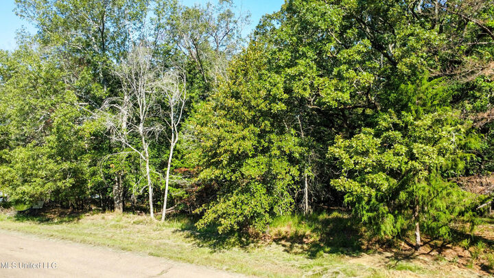 Property Photo: 0 Mallard Way MS 39056