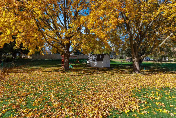 Property Photo: 1516 Center St WI 53098