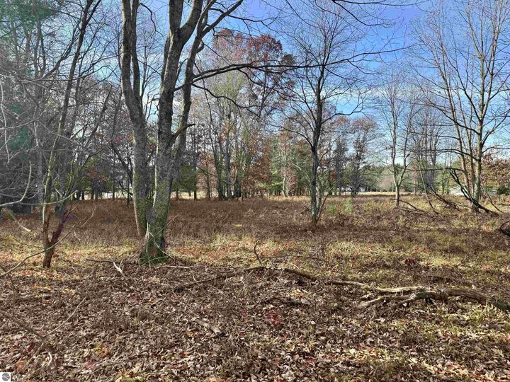 Parcel E Rosted Road  Lake City MI 49651 photo