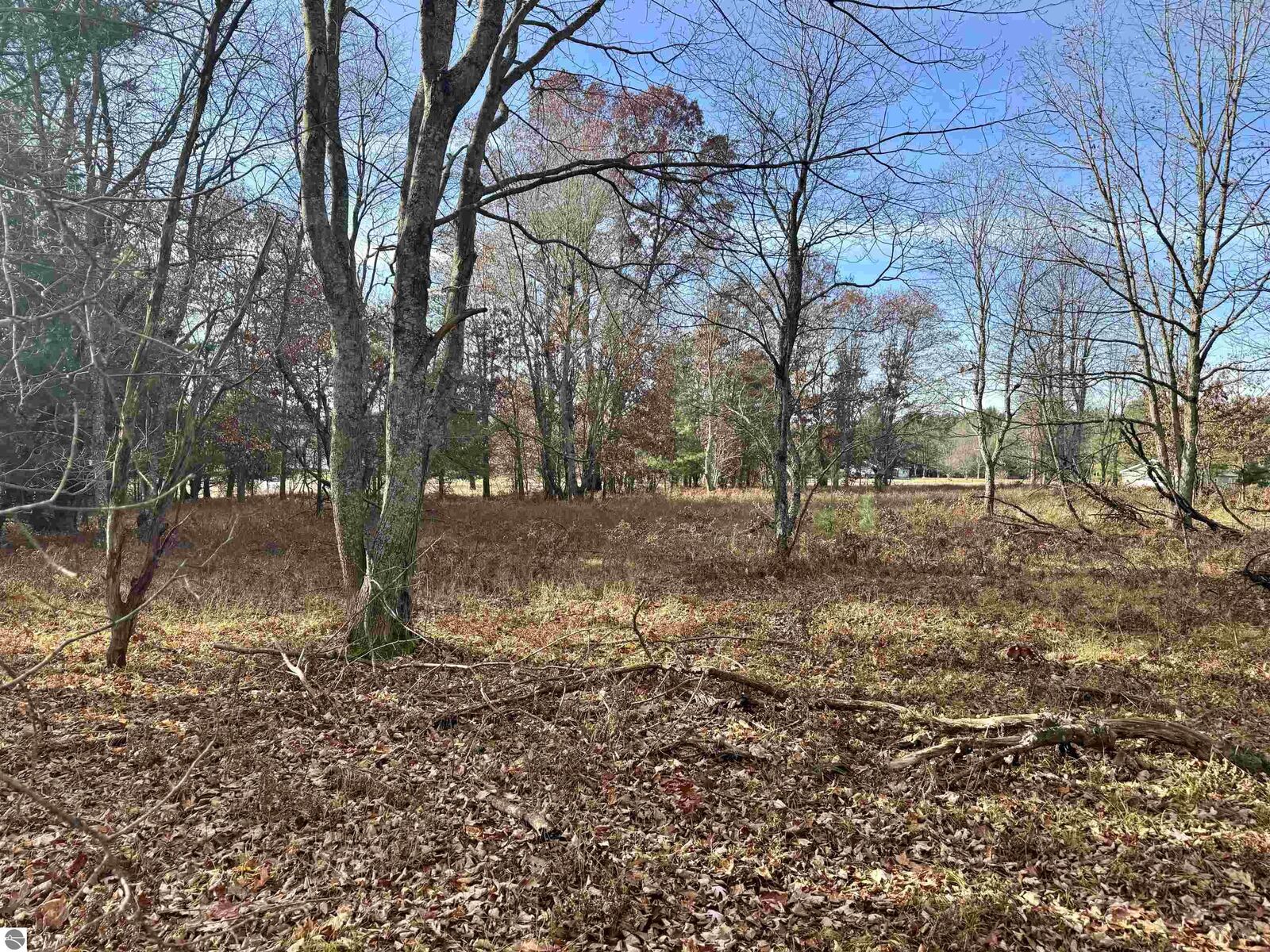 Property Photo:  Parcel E Rosted Road  MI 49651 