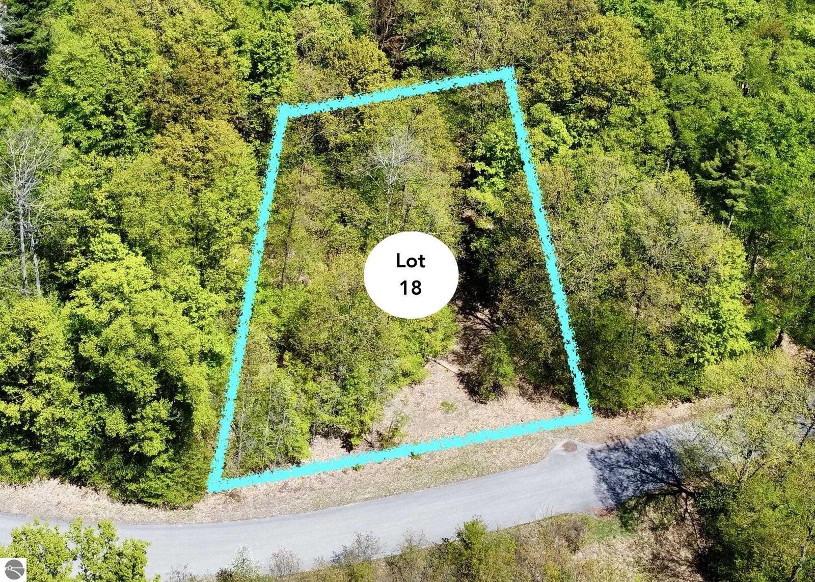 Property Photo:  Lot 18 S Club Drive  MI 49621 