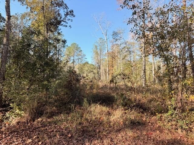 Property Photo: 42217 Pasqua Road LA 70454