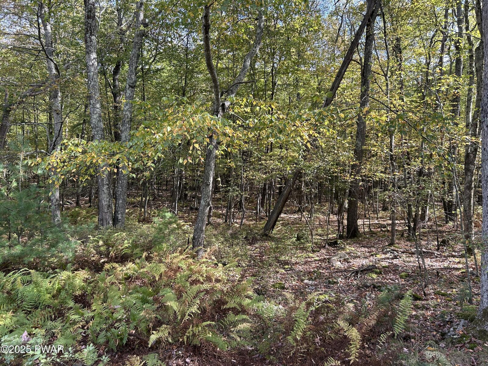 Property Photo: Lot 410 Fox Road PA 18328