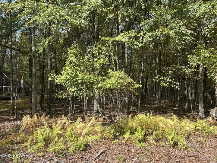 Property Photo: Lot 251 W Chipmunk Road PA 18324