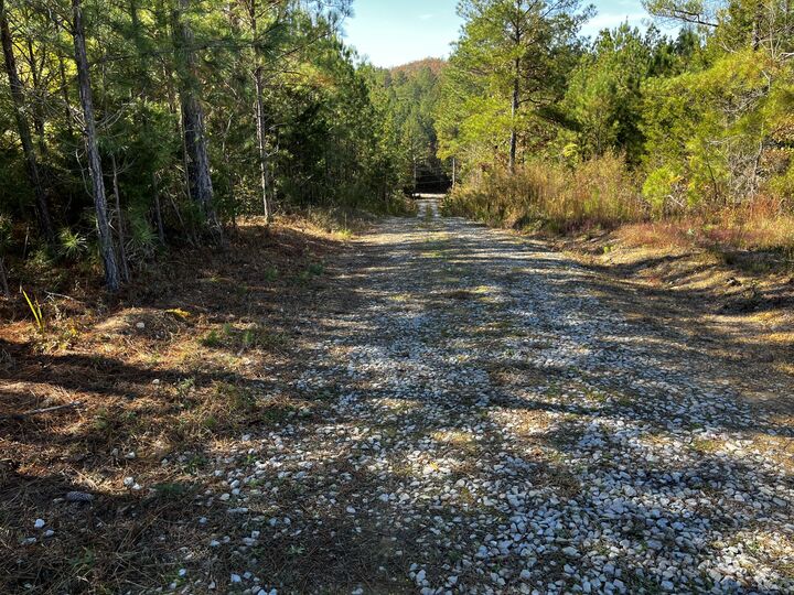 Property Photo:  1693 Liggett Road  TN 37322 